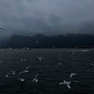 极品白丝罗莉被操
